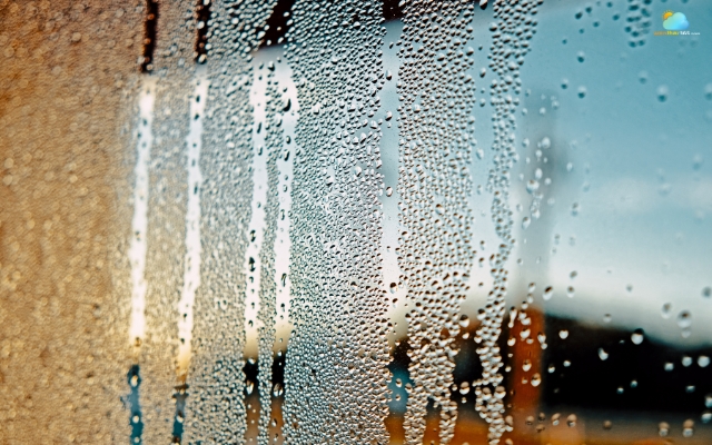  Condensation outside the window