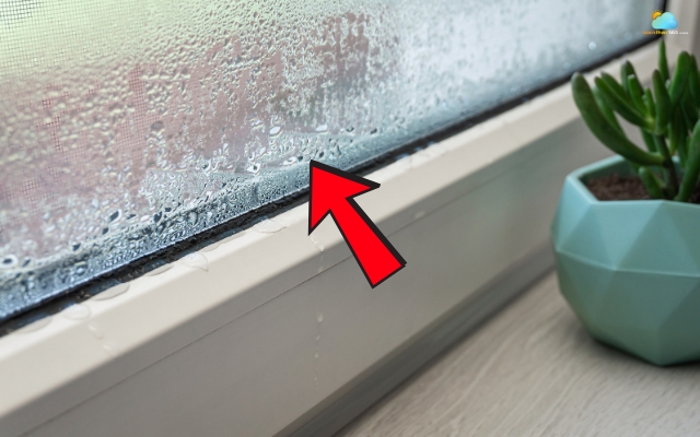  Condensation appears as tiny droplets
