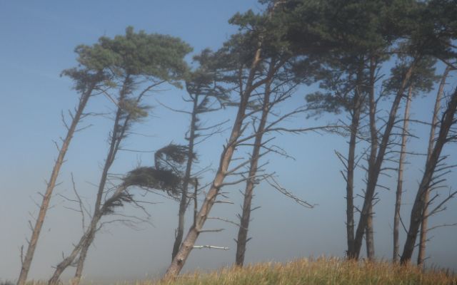 Wind shear contributes to the supercell’s formation