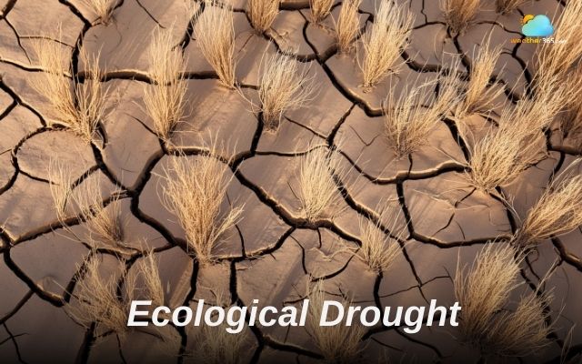  Ecological drought