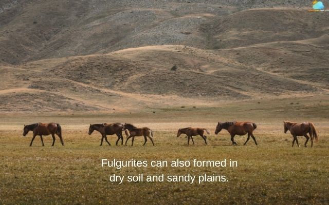 Fulgurites can be found in dry soil and sandy plains