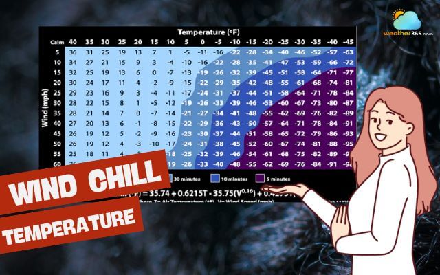 Wind chill temperature board