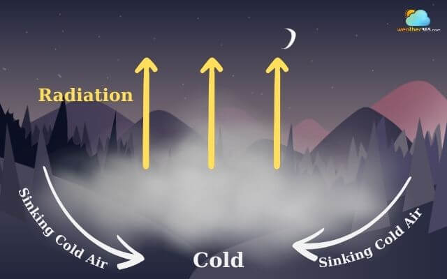 The fog formation