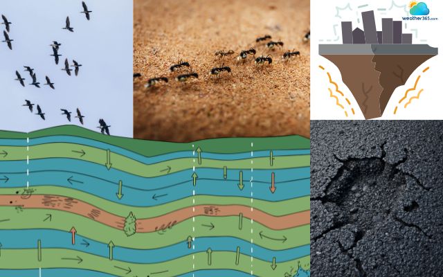 What are the signs of a big earthquake coming?